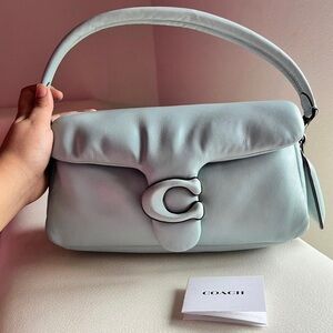 cute tabby pillow coach bag retails at $500 only worn once